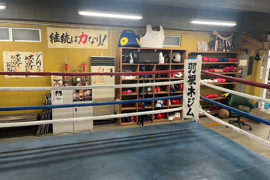 あのクズを殴ってやりたいんだ