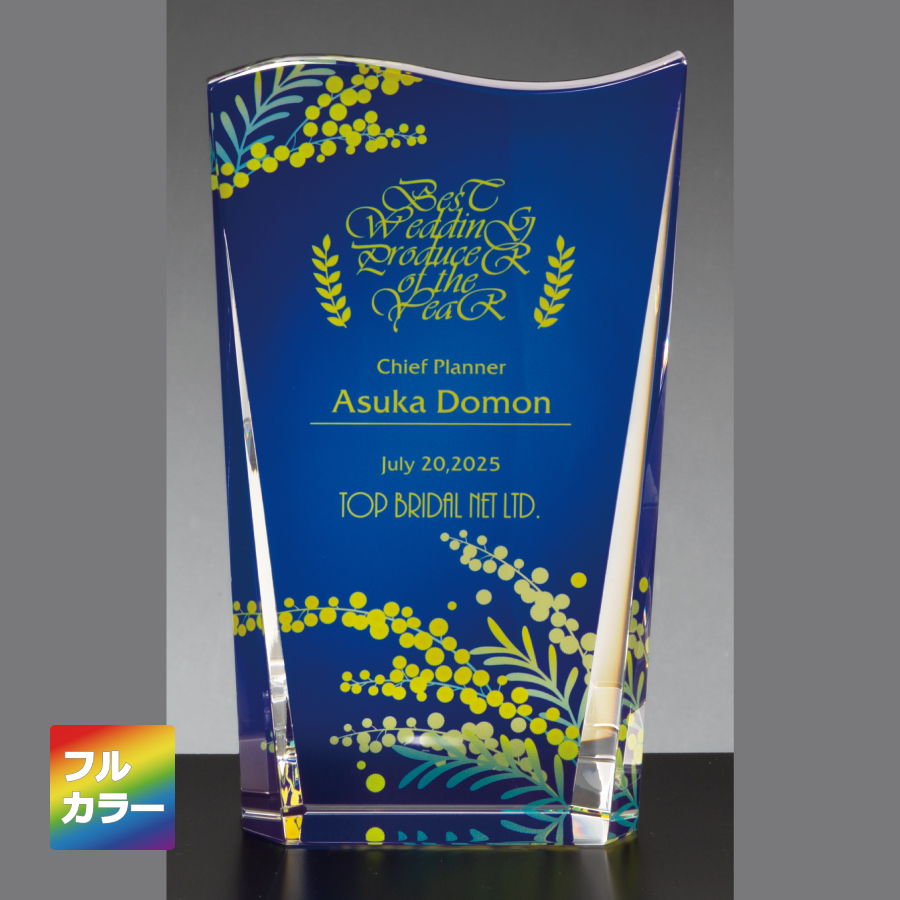 クリスタルトロフィー 内部レーザー彫刻 ZKG-1152 Aサイズ