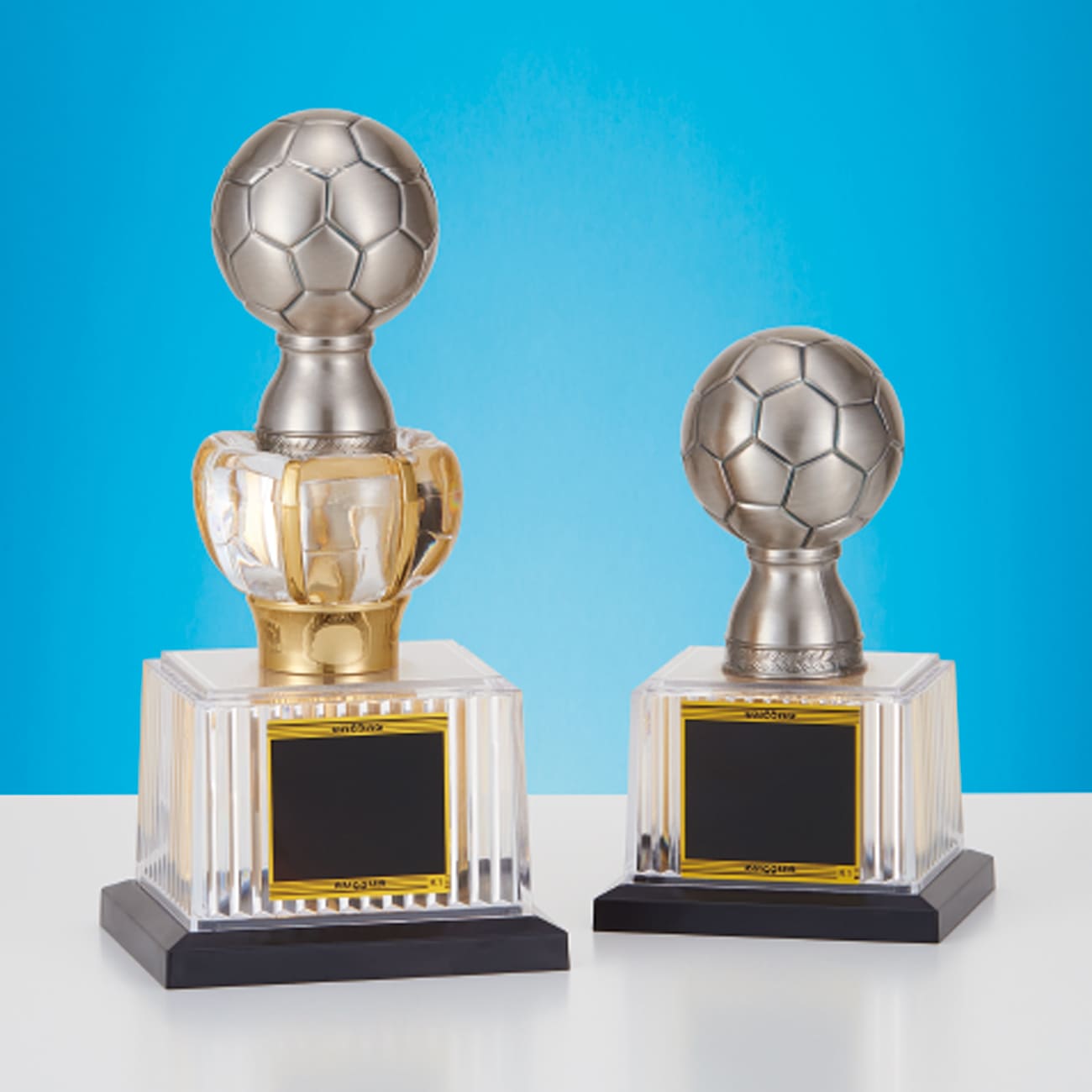 特注トロフィー