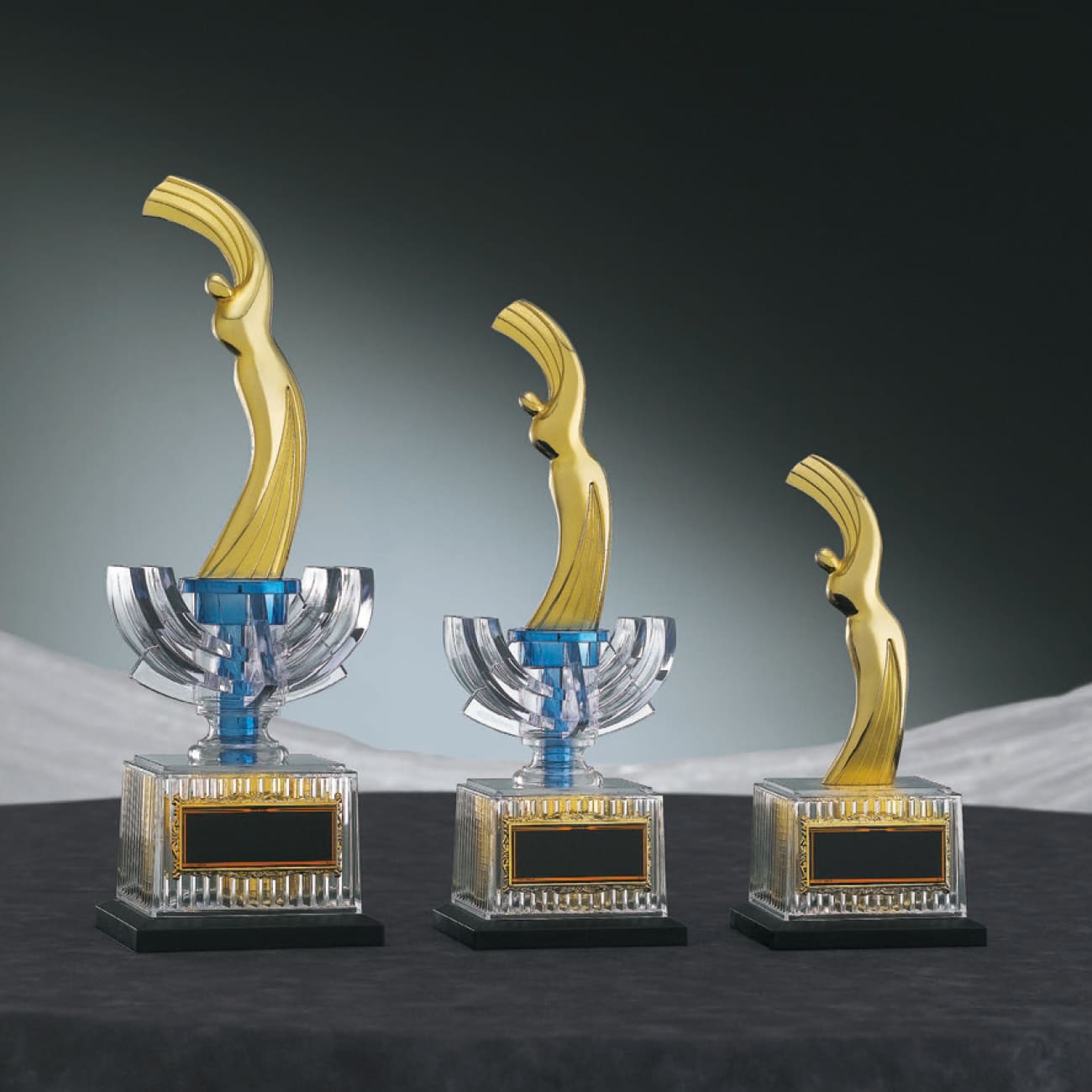 特注トロフィー