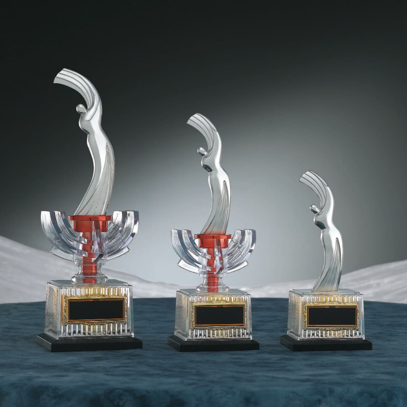 特注トロフィー