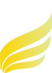 ウィングス-イエロー