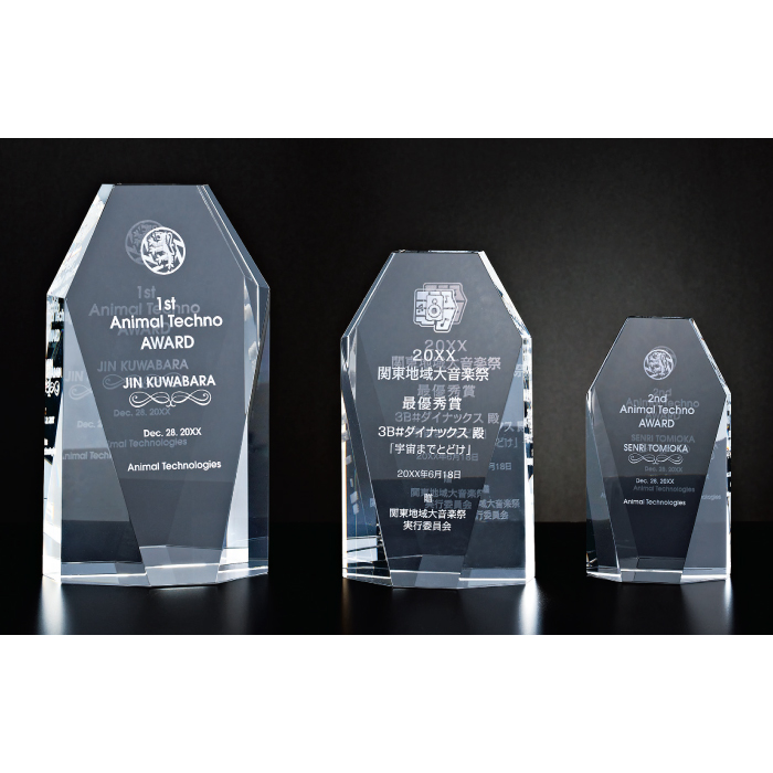 クリスタルトロフィー 内部レーザー彫刻 L95-01 Aサイズ