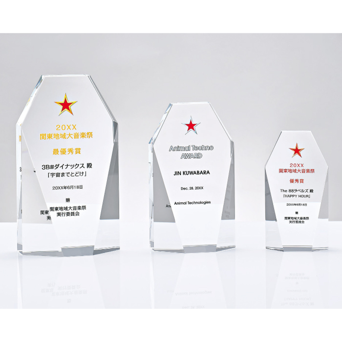クリスタルトロフィー フルカラー印刷 L95-02 Aサイズ