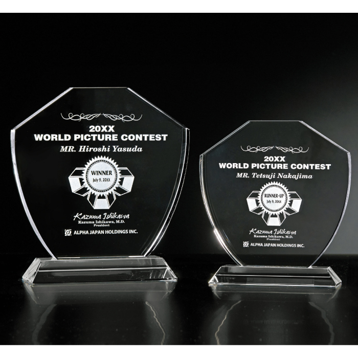 クリスタルトロフィー フルカラー印刷 L89-01 Aサイズ