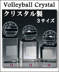 バレーボール記念品