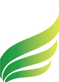 ウィングス-グリーン