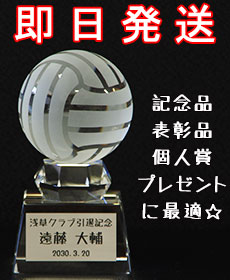 バレーボール記念品