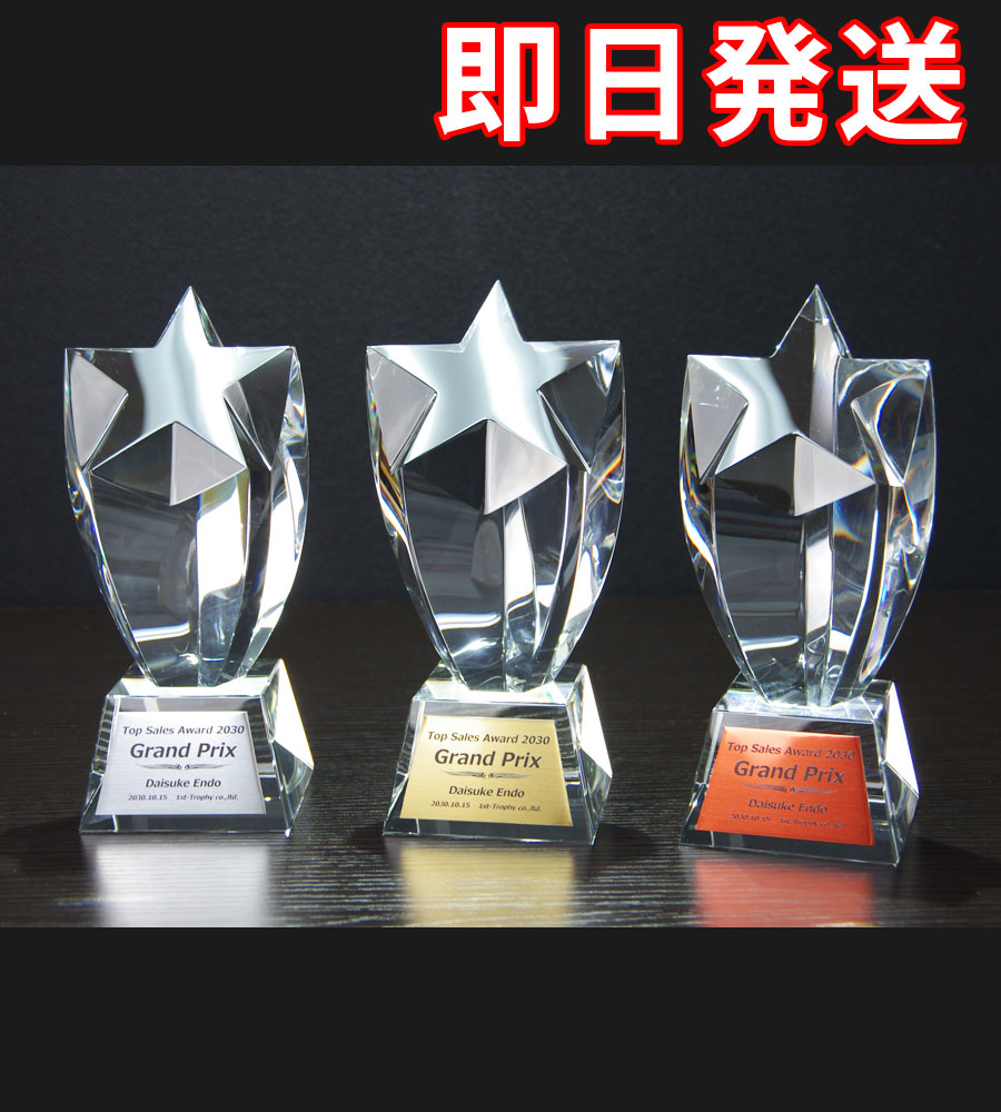クリスタルトロフィー《XC-PO-0130》(高さ：18.0cm 幅：8.0cm)[5.8×4.4